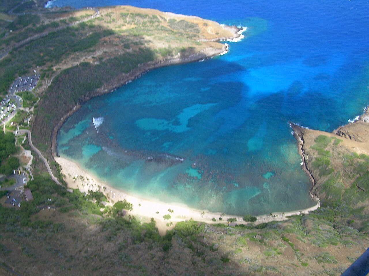 Hanauma Bay 浮潜